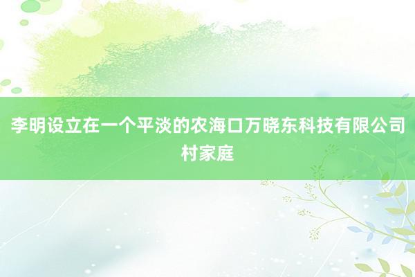 李明设立在一个平淡的农海口万晓东科技有限公司村家庭