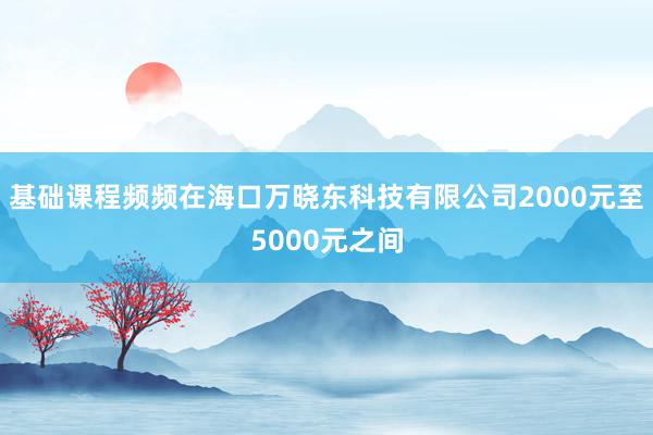 基础课程频频在海口万晓东科技有限公司2000元至5000元之间