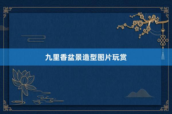 九里香盆景造型图片玩赏